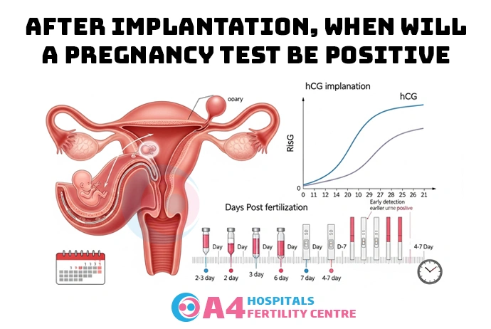 after-implantation-when-will-a-pregnancy-test-be-positive