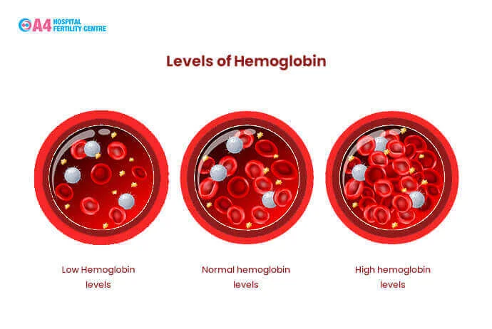 natural-ways-to-increase-hemoglobin-in-pregnancy