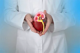 heres-why-you-shouldnt-ignore-your-kidney-health-blog-middle-2