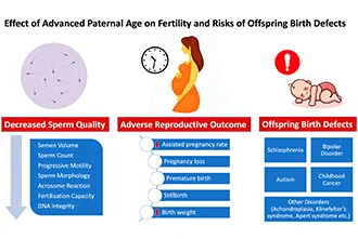 impact-of-genetic-factors-in-declining-sperm-count-blog-middle-1