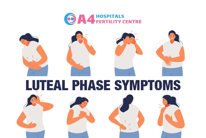 luteal-phase-symptoms