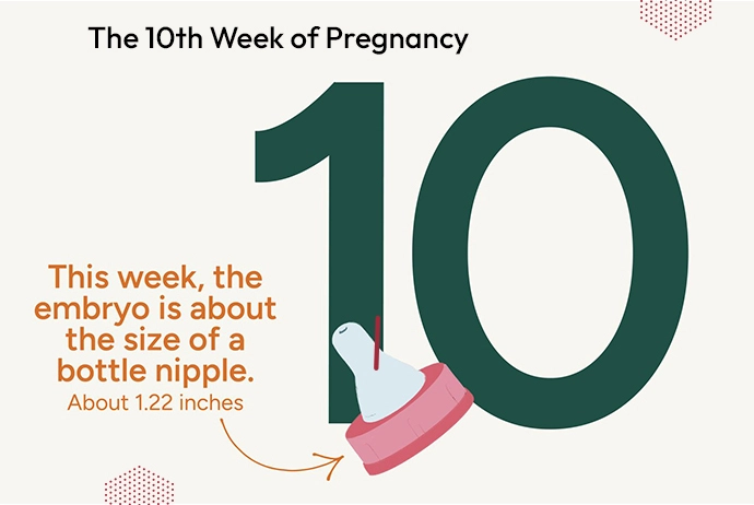 pregnancy-week-10
