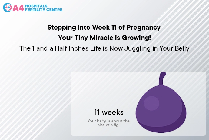 pregnancy-week-11