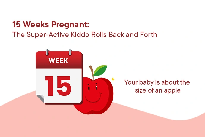 pregnancy-week-15