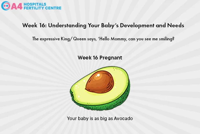 pregnancy-week-16