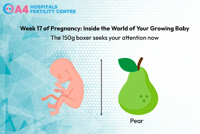 pregnancy-week-17