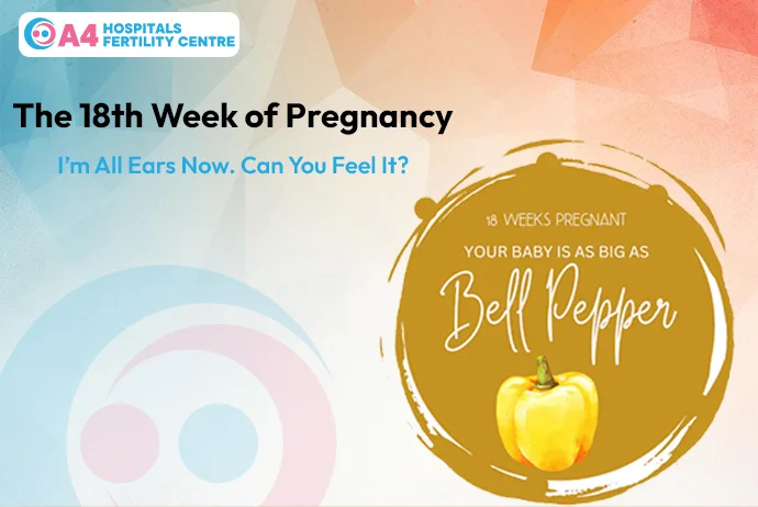 pregnancy-week-18