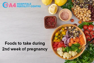pregnancy-week-2b