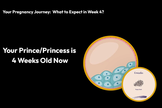 pregnancy-week-4