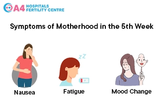 pregnancy-week-5a