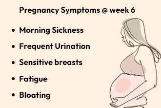 pregnancy-week-6a