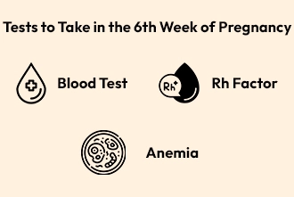 pregnancy-week-6b