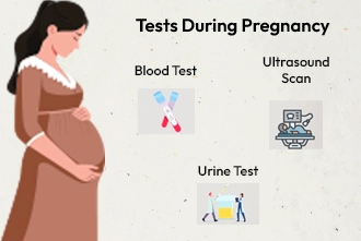 pregnancy-week-7a