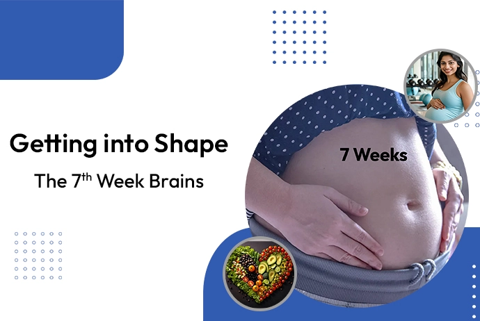 pregnancy-week-7